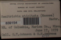 Image Associated With the Occurence